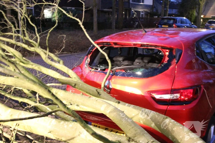Autoruit gesneuveld door omgewaaide boom storm Dudley