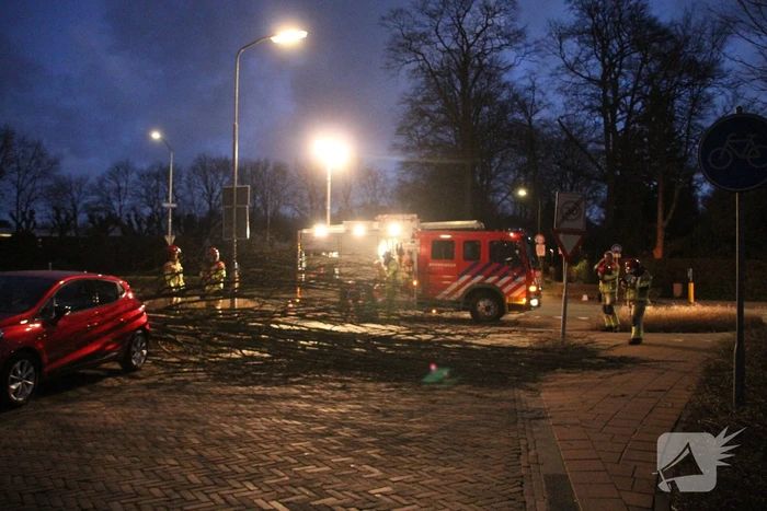 Autoruit gesneuveld door omgewaaide boom storm Dudley