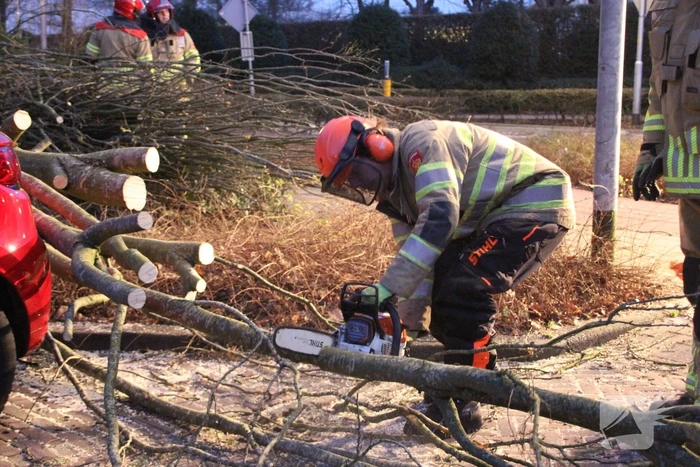 Autoruit gesneuveld door omgewaaide boom storm Dudley