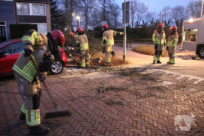Autoruit gesneuveld door omgewaaide boom storm Dudley