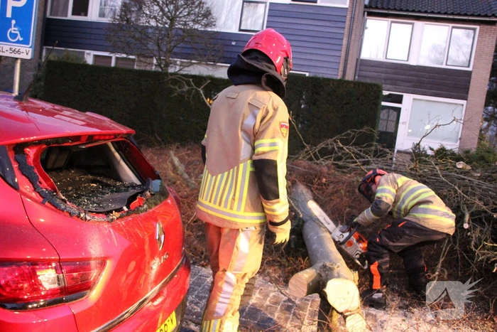 Autoruit gesneuveld door omgewaaide boom storm Dudley