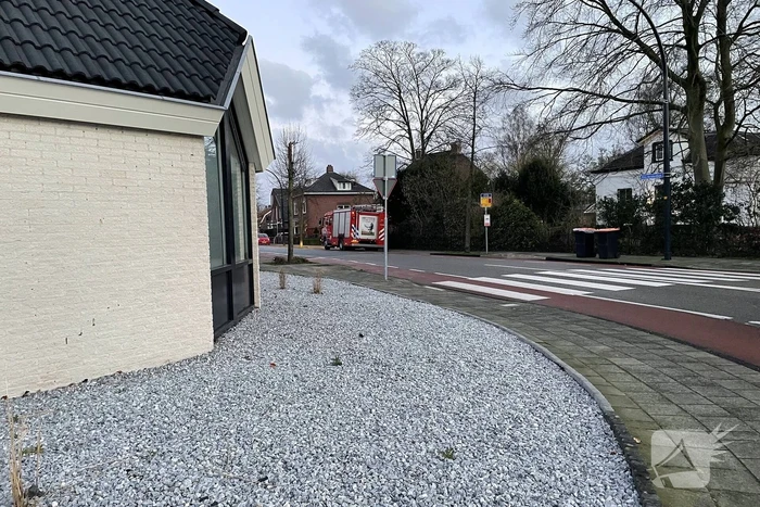 Grote boom omgelegd door storm Dudley