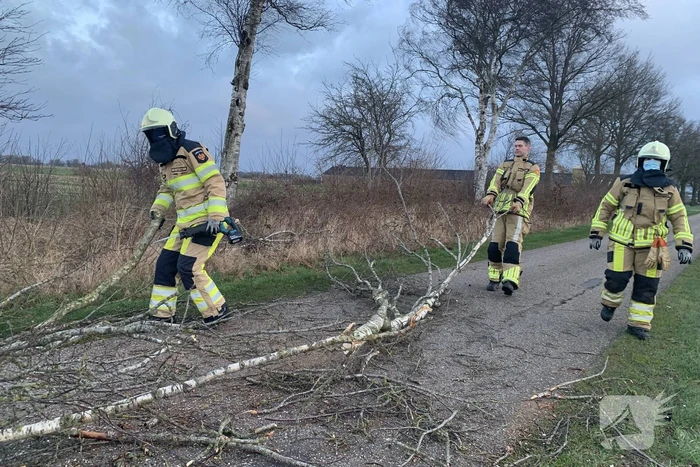 Boom omgewaaid op wegdek door storm Dudley
