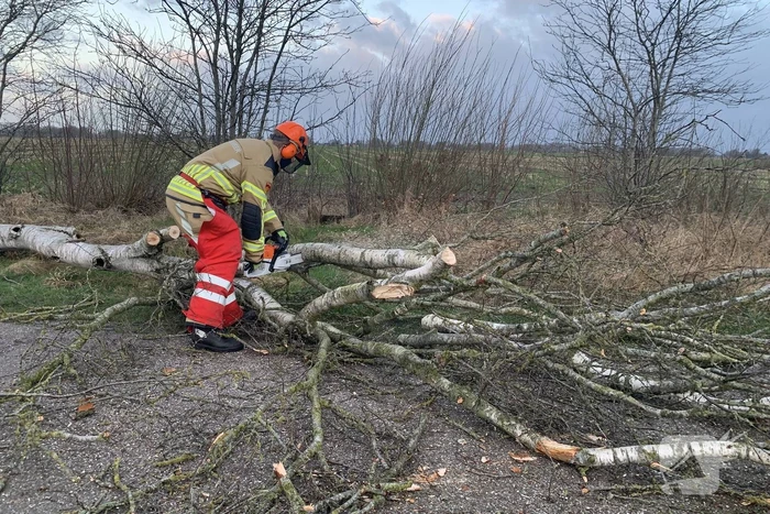 Boom omgewaaid op wegdek door storm Dudley