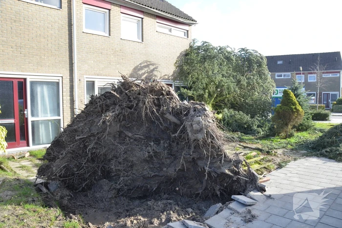 natuur de nije oanliz goutum