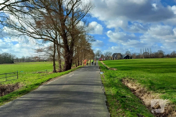 Dikke boom door storm gesplitst
