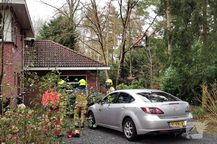 natuur de vrieslaan wageningen