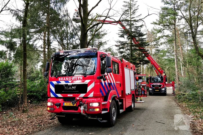Boom dreigt op woning te vallen