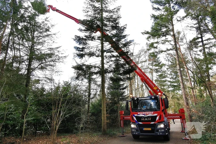 Boom dreigt op woning te vallen