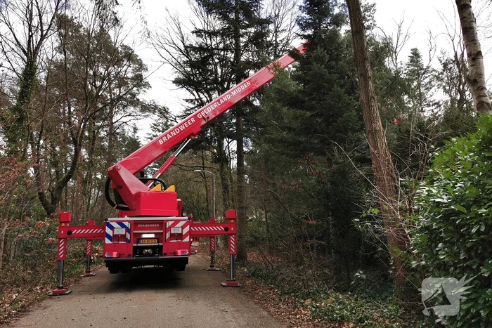 Boom dreigt op woning te vallen