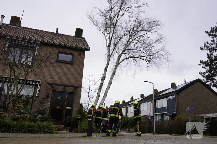 natuur oosteinde moordrecht