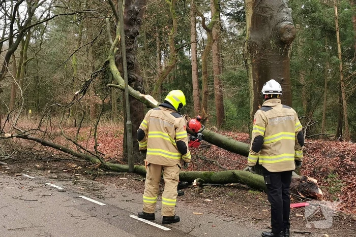 natuur horalaan bennekom