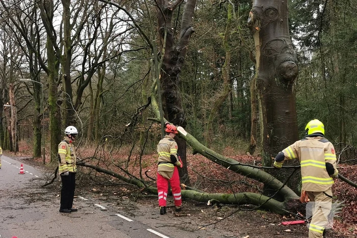 Brandweer zaagt grote tak in stukken