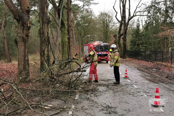 Brandweer zaagt grote tak in stukken