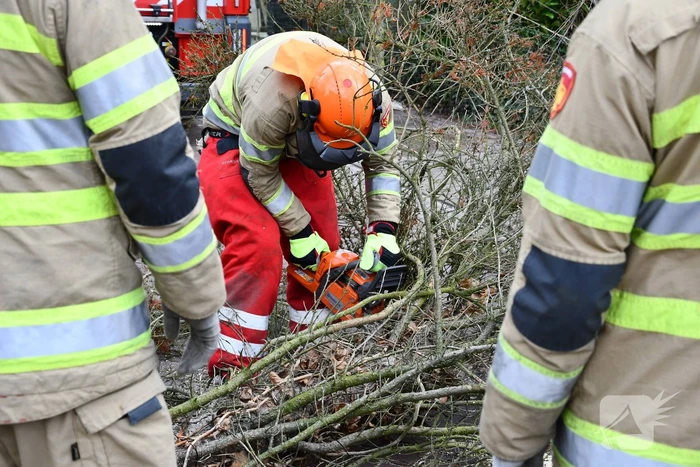 Boom waait uit voortuin over de weg