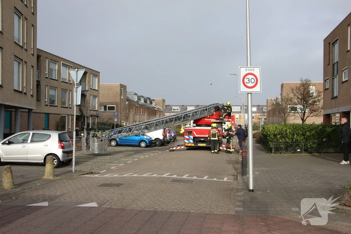 natuur componistenlaan voorhout