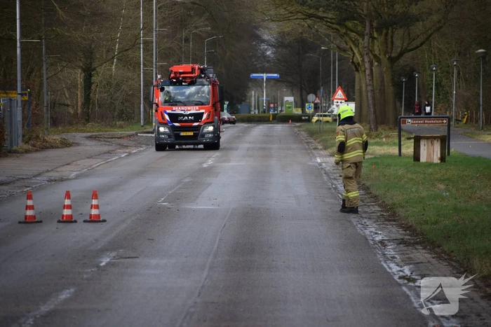 Brandweer laat boom gecontroleerd omvallen