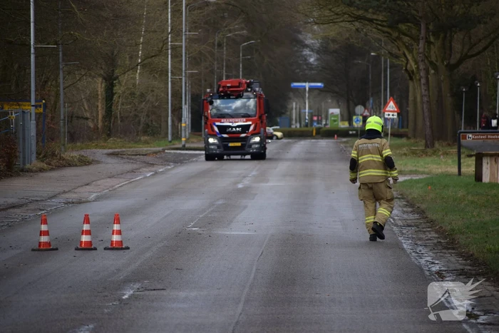 Brandweer laat boom gecontroleerd omvallen