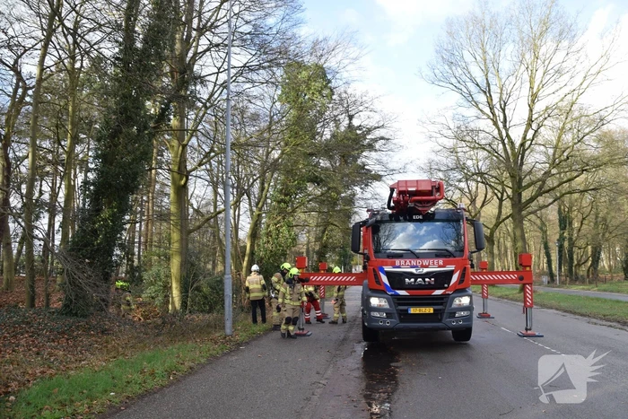 Brandweer laat boom gecontroleerd omvallen
