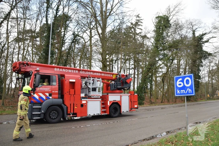 Brandweer laat boom gecontroleerd omvallen