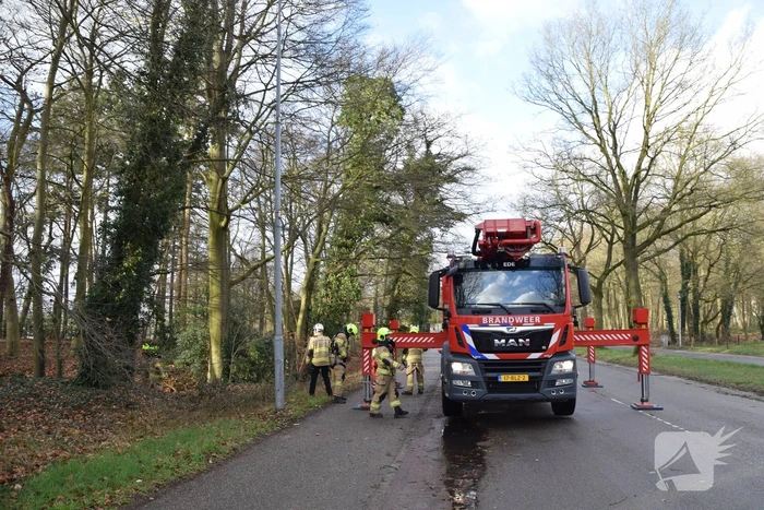 Brandweer laat boom gecontroleerd omvallen