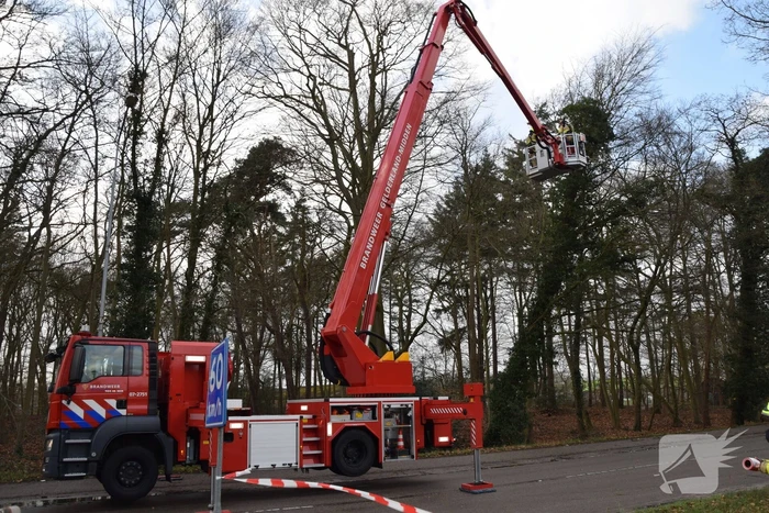 Brandweer laat boom gecontroleerd omvallen