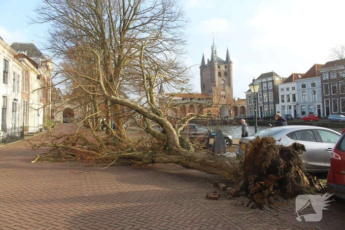 Boom waait rakelings om achter auto