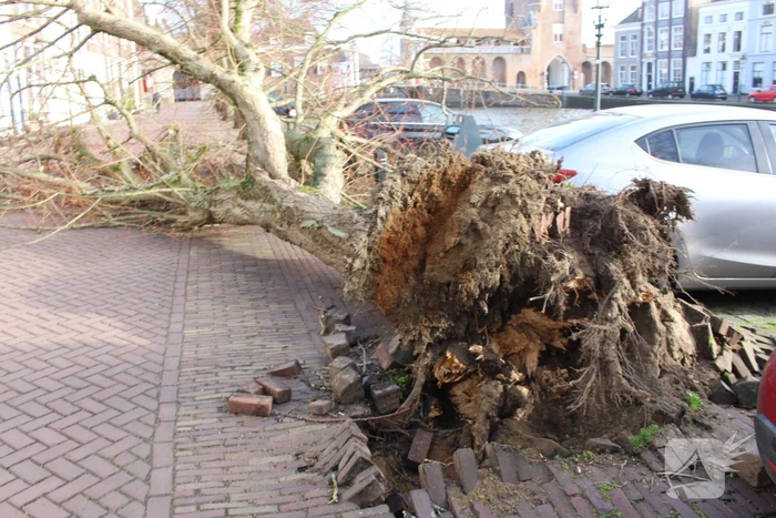 Boom waait rakelings om achter auto