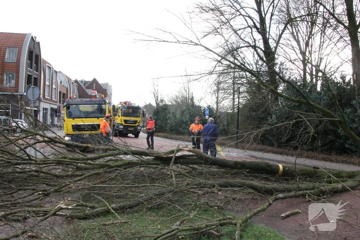 natuur noordersingel eemnes
