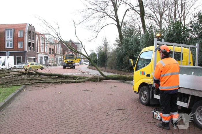 Boom blokkeert weg bij winkelcentrum