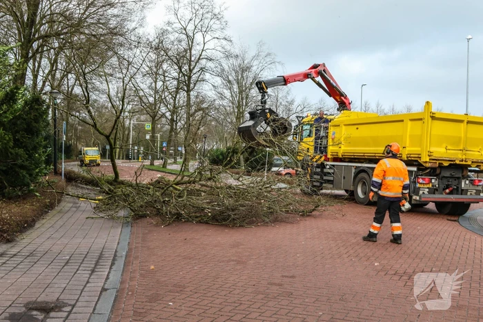 Boom blokkeert weg bij winkelcentrum