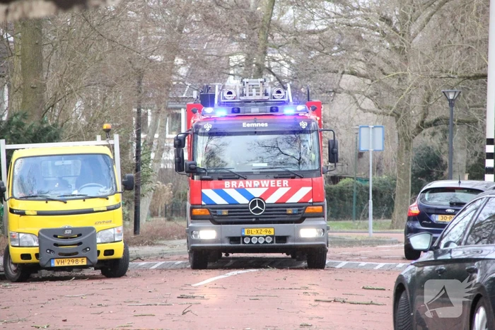 Boom blokkeert weg bij winkelcentrum