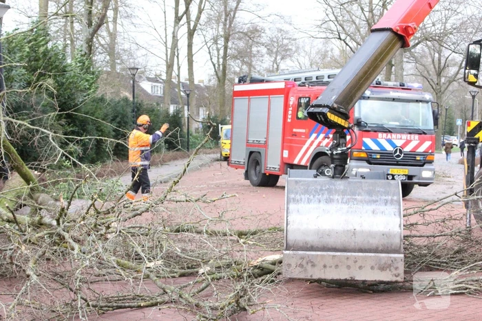 Boom blokkeert weg bij winkelcentrum