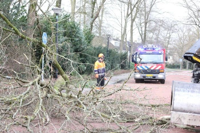 Boom blokkeert weg bij winkelcentrum