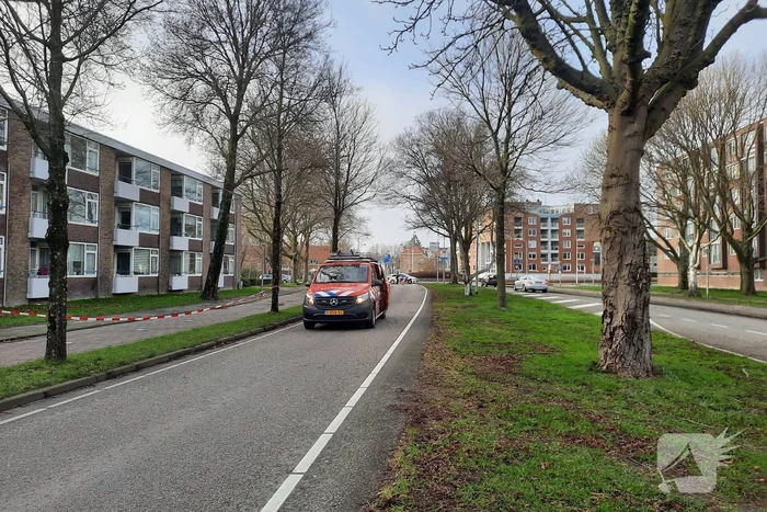 Grote boom waait over fietspad