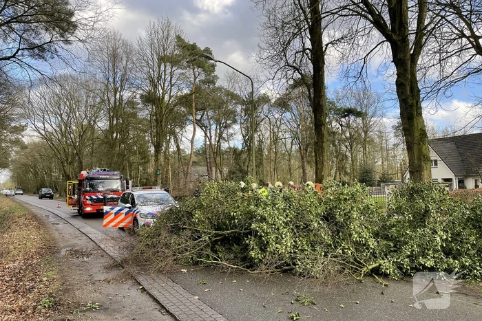 ongeval bezuidenhout boekel