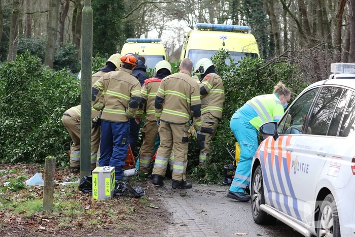 Vrouw en hond bekneld onder boom