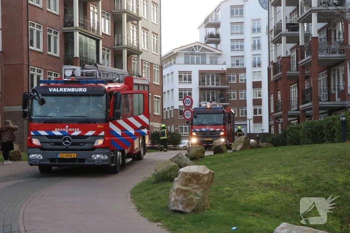 natuur de klok rijnsburg