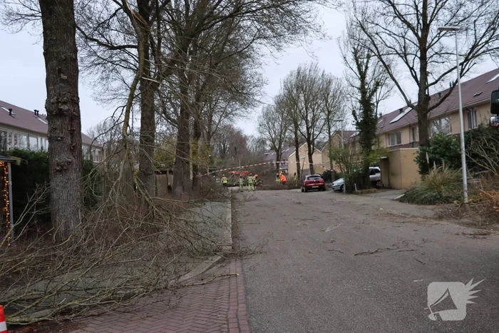 natuur distelmeent hilversum
