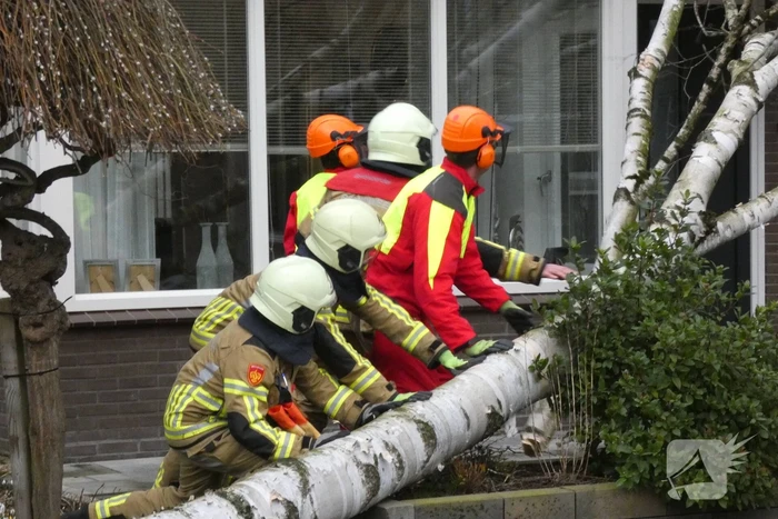 Boom waait tegen woning