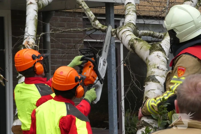 Boom waait tegen woning