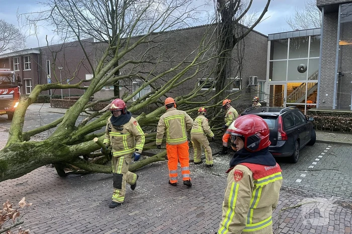 Grote boom valt op geparkeerde auto