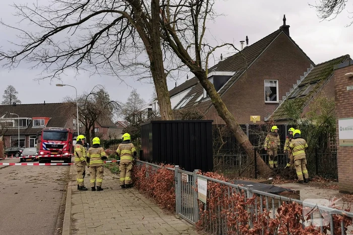 natuur boterbloem bennekom