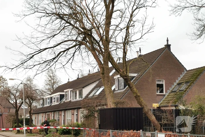 Grote boom omgezaagd door brandweer