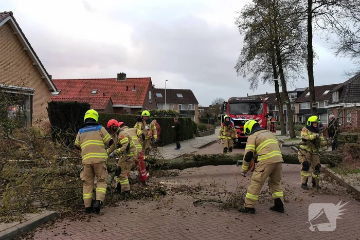 Grote boom omgezaagd door brandweer