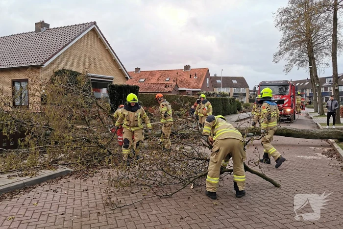 Grote boom omgezaagd door brandweer