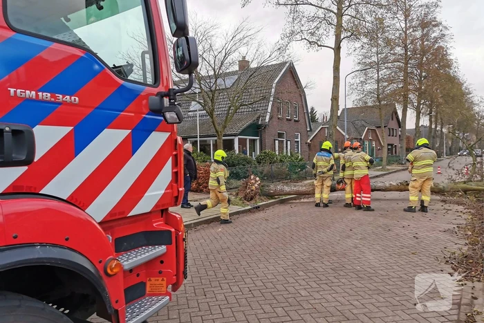 Grote boom omgezaagd door brandweer