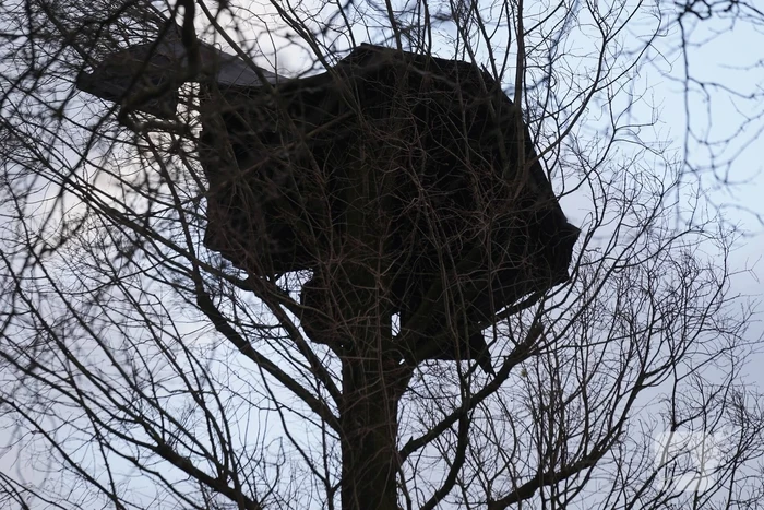 natuur prinses irenestraat - pr. irenestraat moordrecht