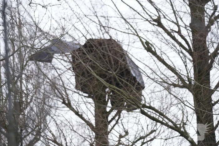 Dakbedekking belandt op voertuigen