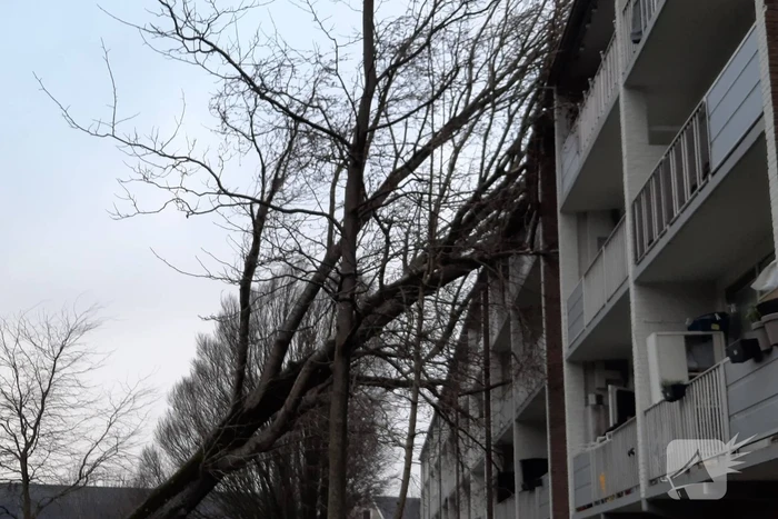 Boom waait tegen flat